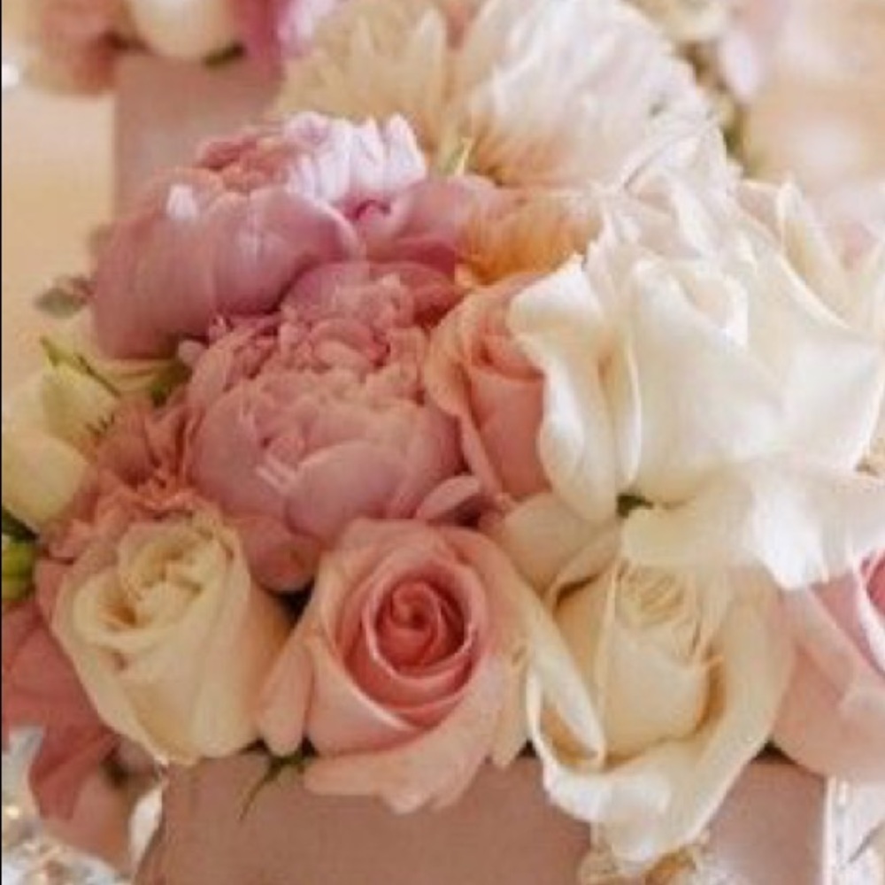 Meet your Posher, Maria stephanie